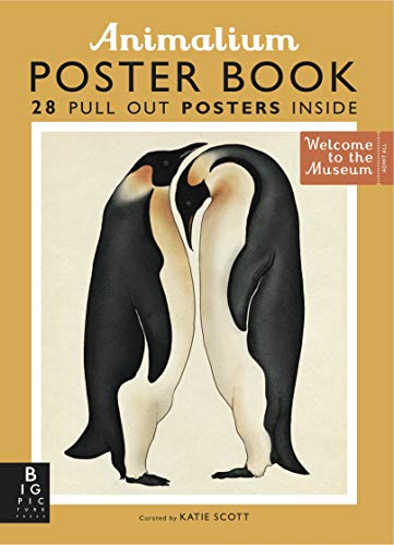9781783703531: Animalium Poster Book: by Suzanna Davidson and illustrator Katie Scott (Welcome To The Museum)