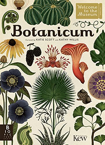 Beispielbild fr Botanicum zum Verkauf von Blackwell's