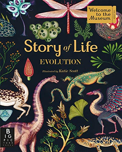 9781783704446: Story Of Life. Evolution: (Welcome to the Museum)