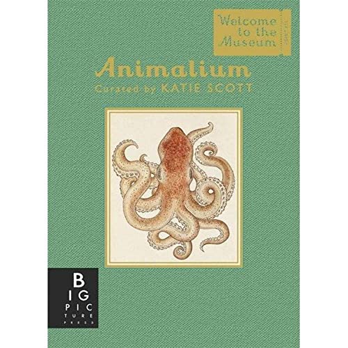 9781783706112: Animalium (Mini Gift Edition)