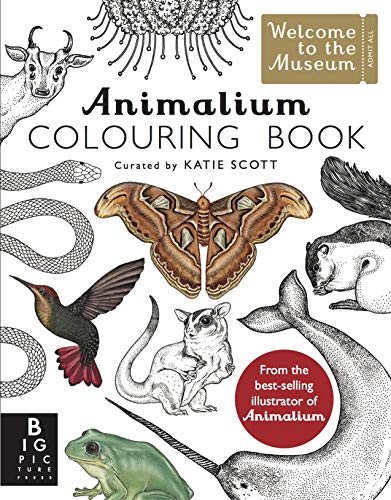 Beispielbild fr Animalium Colouring Book: by Kate Baker and illustrator Katie Scott (Welcome To The Museum) zum Verkauf von WorldofBooks