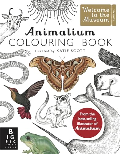 Imagen de archivo de Animalium Colouring Book: by Kate Baker and illustrator Katie Scott (Welcome To The Museum) a la venta por WorldofBooks