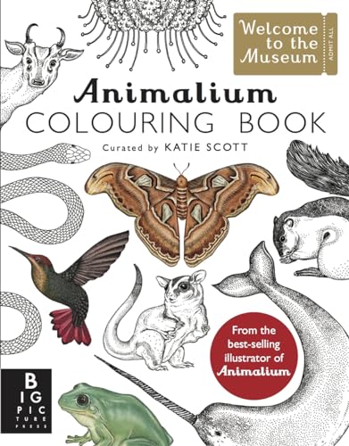 Stock image for Animalium Colouring Book: by Kate Baker and illustrator Katie Scott (Welcome To The Museum) for sale by WorldofBooks
