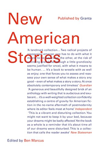 9781783781485: New American Stories