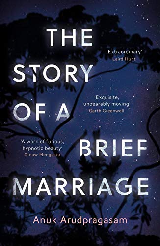Beispielbild fr The Story of a Brief Marriage zum Verkauf von GloryBe Books & Ephemera, LLC