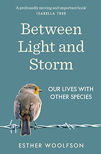 Stock image for Between Light and Storm for sale by Half Price Books Inc.