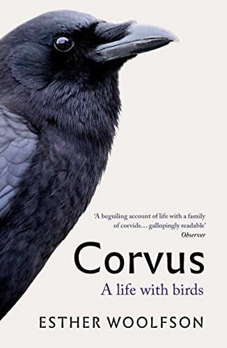 Stock image for Corvus: A Life With Birds for sale by WorldofBooks