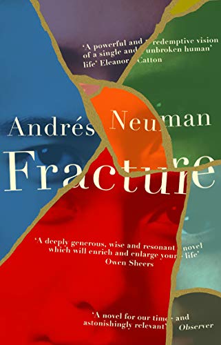 Beispielbild fr Fracture zum Verkauf von GreatBookPrices