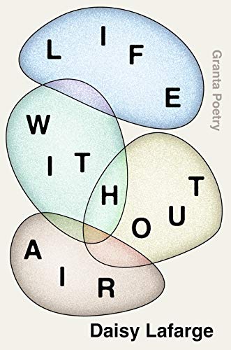 Stock image for Life Without Air for sale by Blackwell's