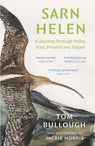 Imagen de archivo de Sarn Helen: A Journey Through Wales, Past, Present and Future a la venta por WorldofBooks