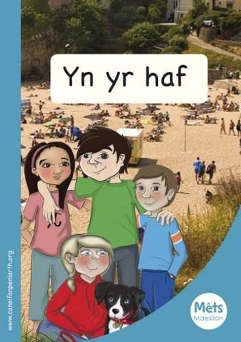 9781783900251: Mets Maesllan: yn yr Haf (Welsh Edition)