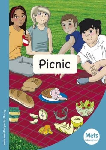 Stock image for Picnic: Book 3 for sale by Revaluation Books