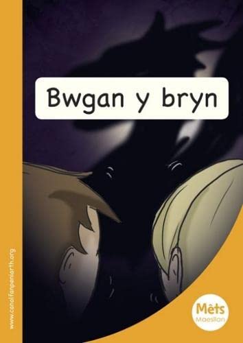 Stock image for Bwgan Y Bryn: Book 16 for sale by Revaluation Books