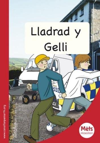 9781783900435: Mets Maesllan: Lladrad y Gelli (Welsh Edition)