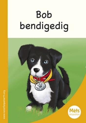 Stock image for Mêts Maesllan: Bob Bendigedig for sale by Goldstone Books