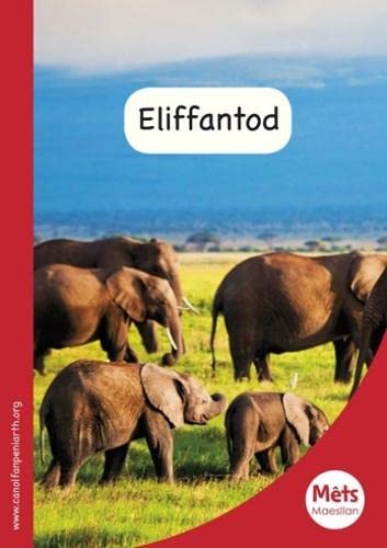 Stock image for Mêts Maesllan: Eliffantod for sale by Goldstone Books