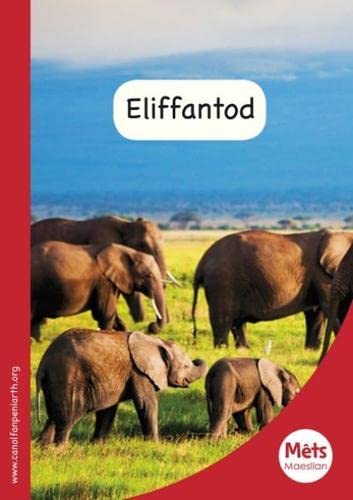 9781783900510: Mets Maesllan: Eliffantod (Welsh Edition)