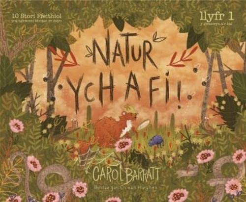 Stock image for Natur Ych a Fi for sale by Goldstone Books