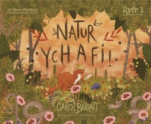 9781783902064: Natur Ych a Fi (Welsh Edition)