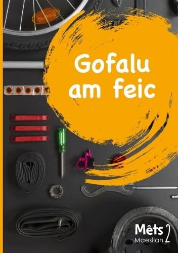 Stock image for Mts Maesllan 2 - Gofalu am Feic for sale by Revaluation Books