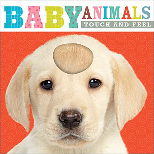 Beispielbild fr Baby Animals zum Verkauf von Better World Books