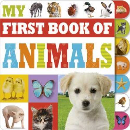 9781783934027: My First Book of Animals (Learning Range) - Make Believe  Ideas: 1783934026 - AbeBooks