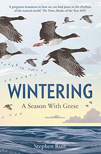 Stock image for Wintering: A Season with Geese for sale by ThriftBooks-Dallas