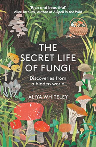 Stock image for The Secret Life of Fungi: Discoveries from a Hidden World for sale by WorldofBooks
