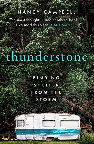 Beispielbild fr Thunderstone: Finding Shelter from the Storm zum Verkauf von WorldofBooks