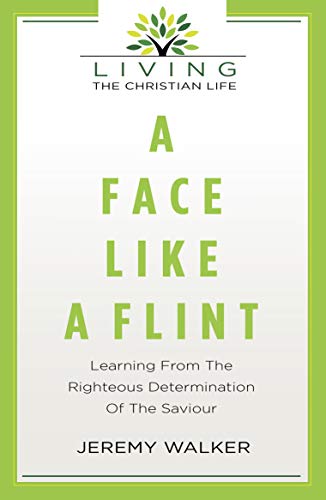 Stock image for A Face Like A Flint for sale by AwesomeBooks