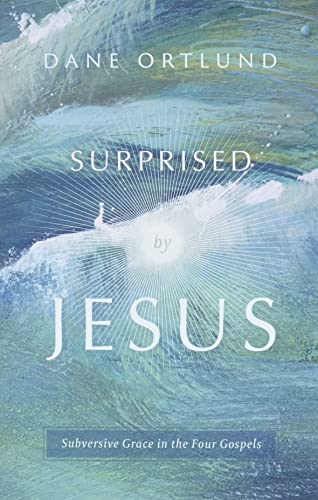 Stock image for Surprised by Jesus: Subversive Grace in the Four Gospels for sale by BooksRun