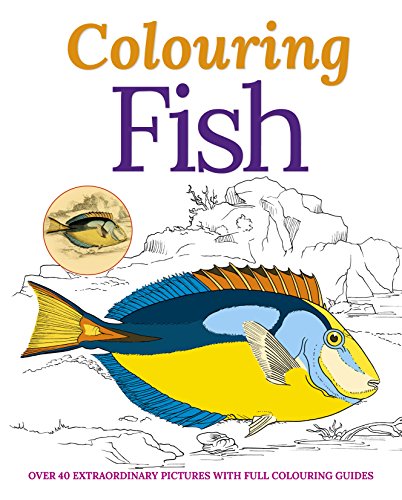 Stock image for The Calm Colouring Book for sale by Blackwell's