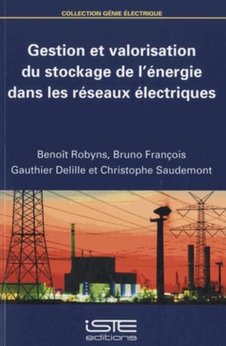 9781784050696: Gestion et valorisation du stockage de l’nergie dans les rseaux lectriques