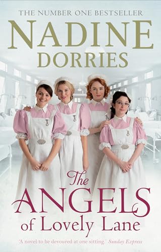 Stock image for The Angels of Lovely Lane for sale by Better World Books