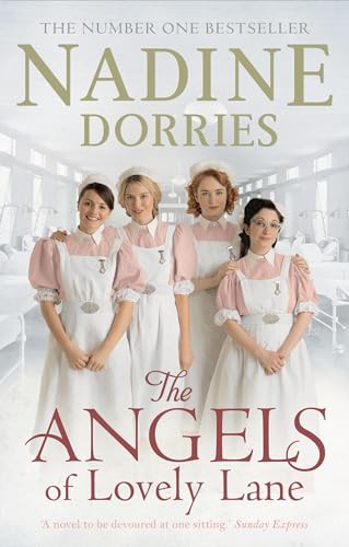 Beispielbild fr The Angels of Lovely Lane zum Verkauf von WorldofBooks
