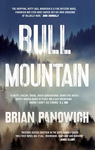 9781784082659: Bull Mountain