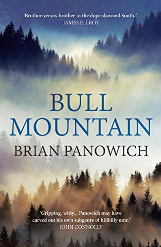 Beispielbild fr Bull Mountain zum Verkauf von medimops