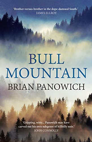 Stock image for Bull Mountain for sale by WorldofBooks