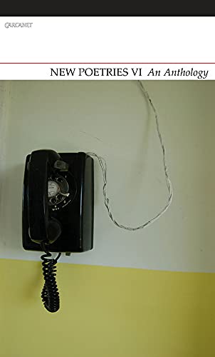 Stock image for New Poetries VI : An Anthology for sale by Better World Books Ltd