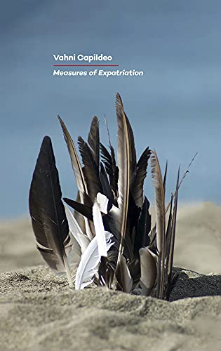 Immagine dell'editore per Measures of Expatriation venduto da AwesomeBooks