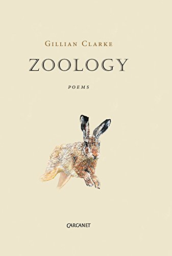 Stock image for Zoology (Signed by the author) for sale by Topping & Company Booksellers