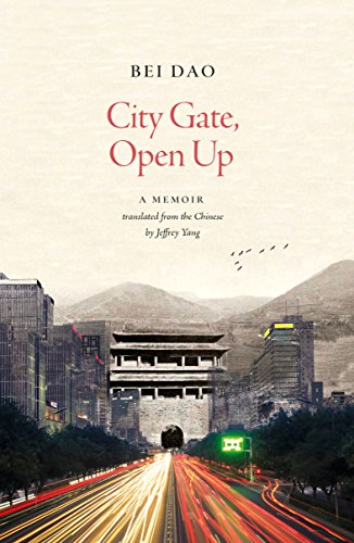 Beispielbild fr City Gate, Open Up zum Verkauf von AwesomeBooks