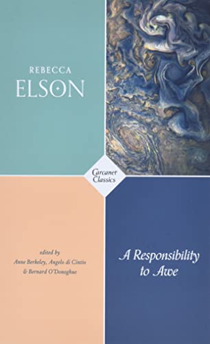 Stock image for A Responsibility to Awe (Carcanet Classics) for sale by Giant Giant
