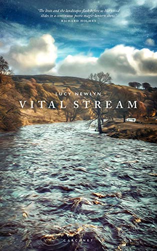Stock image for Vital Stream for sale by Blackwell's
