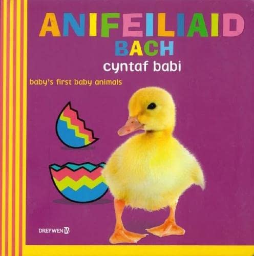 Beispielbild fr Anifeiliaid Bach Cyntaf Babi / Baby's First Baby Animals zum Verkauf von WorldofBooks