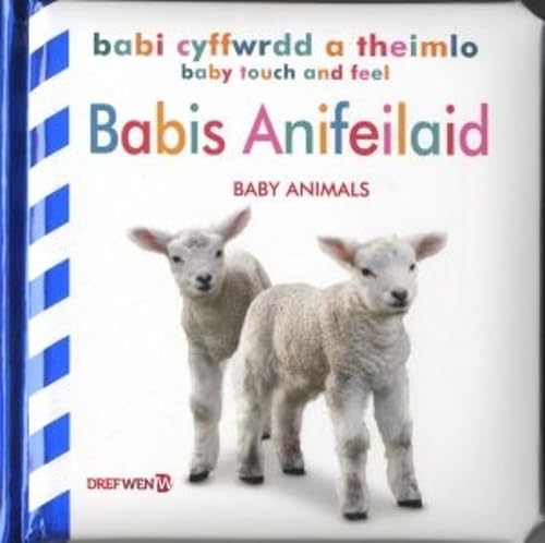 Stock image for Babi Cyffwrdd a Theimlo: Babis Anifeiliaid / Baby Touch and Feel: Baby Animals: Baby Touch and Feel: Animals for sale by WorldofBooks