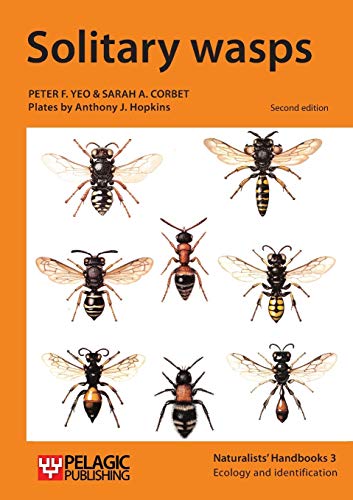 Stock image for Solitary Wasps (Naturalists' Handbooks, 3) for sale by Book Deals