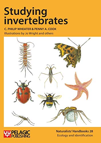 Beispielbild fr Studying invertebrates (Naturalists' Handbooks) zum Verkauf von AwesomeBooks