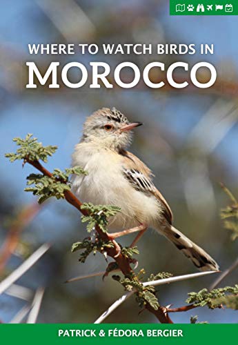 Imagen de archivo de Where to Watch Birds in Morocco a la venta por Front Cover Books