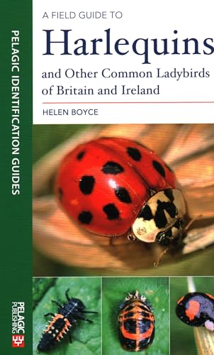 Beispielbild fr A Field Guide to Harlequins and Other Common Ladybirds of Britain and Ireland (Pelagic Identification Guides) zum Verkauf von WorldofBooks